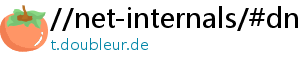 //net-internals/#dns